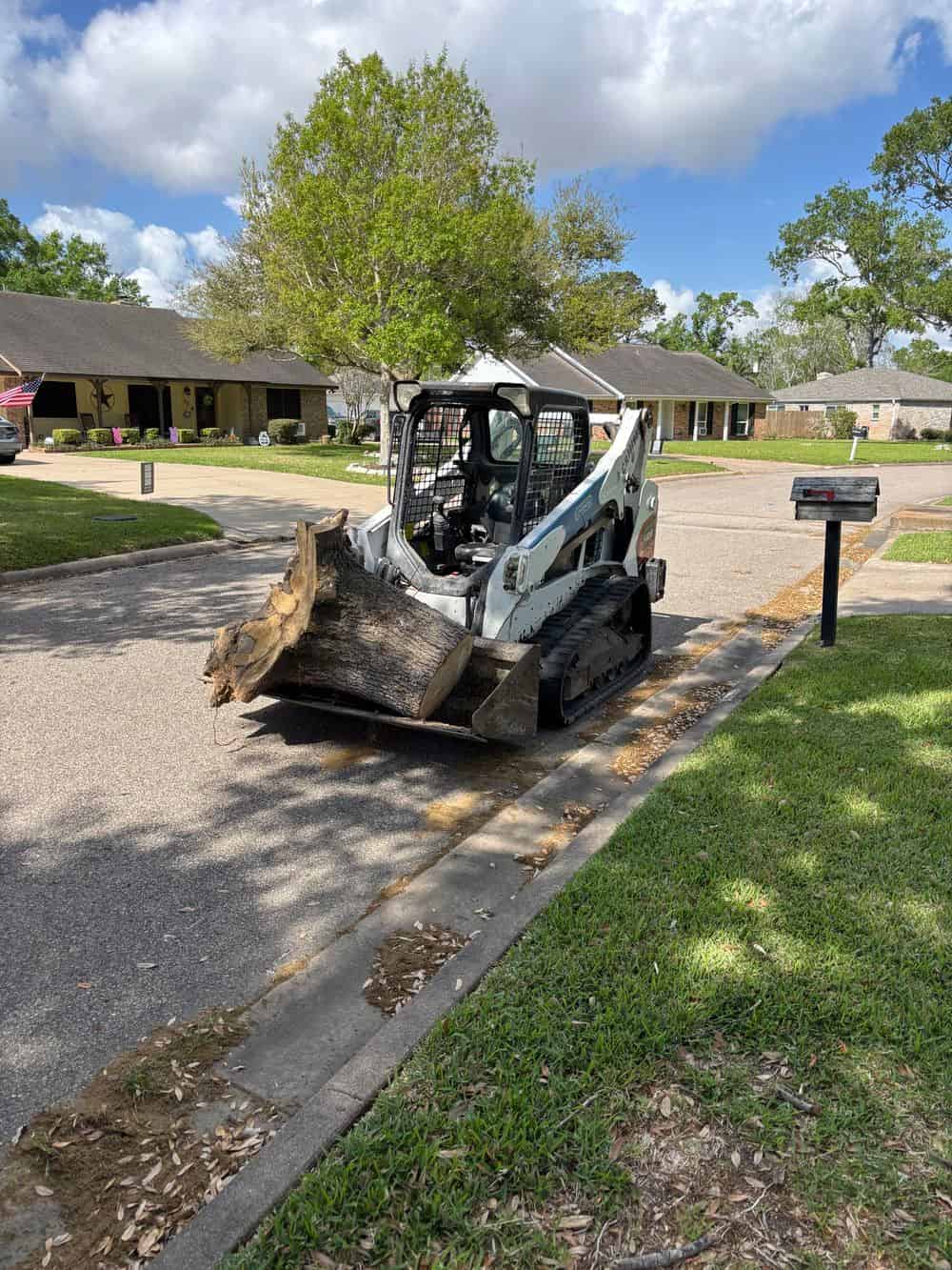 Stump Removal and Stump Grinding image