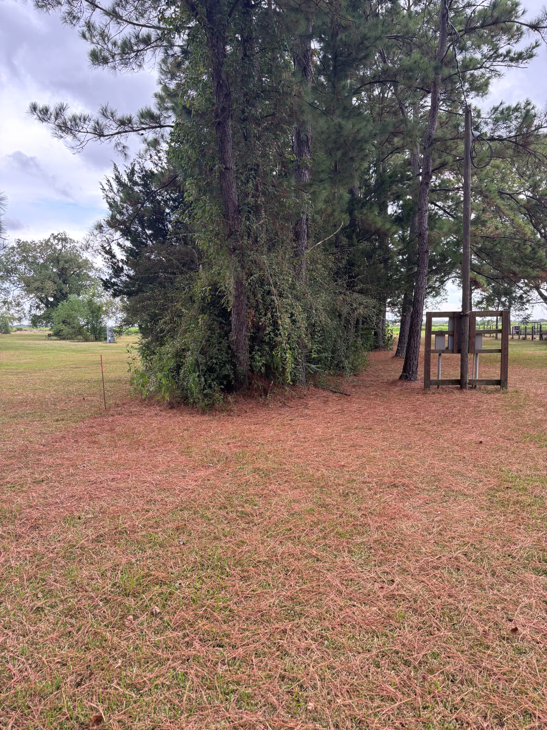 Property Line Cleared and Ready for Fence Installation