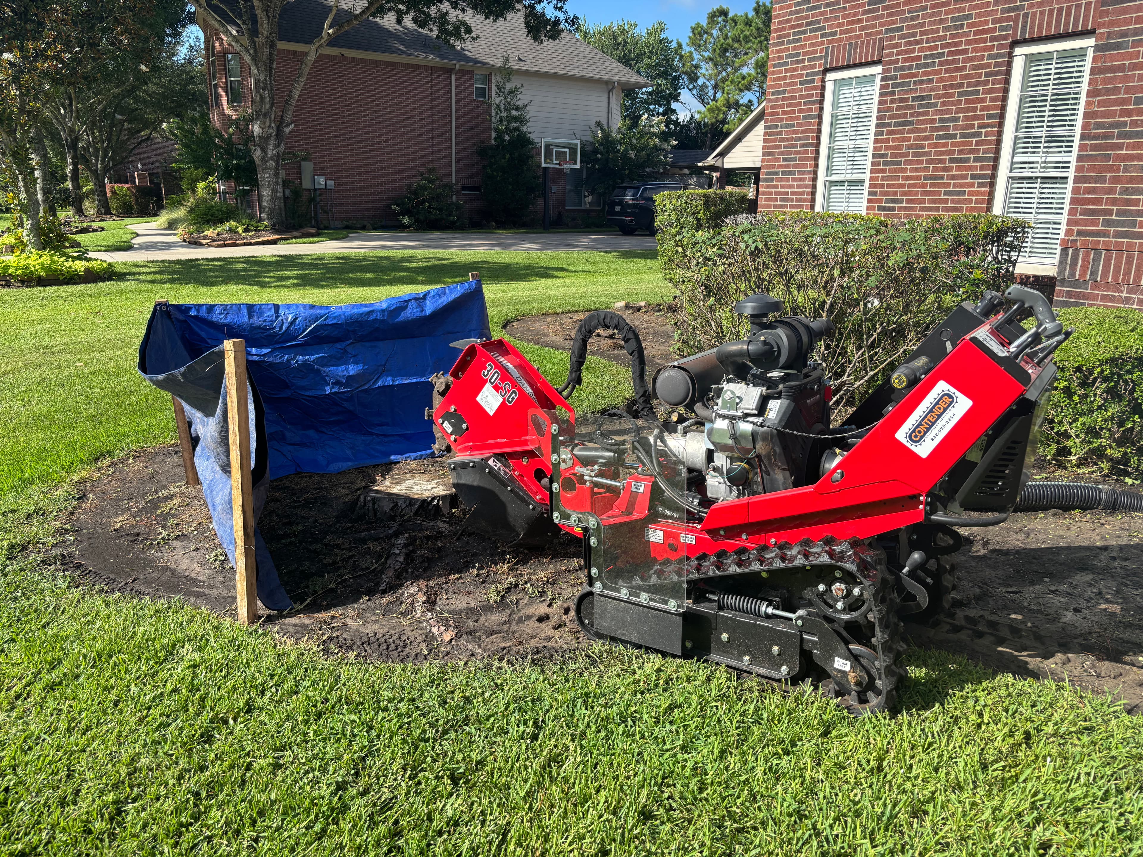 Project Stubborn Stump? A Clean Grind Gets Your Yard Back image