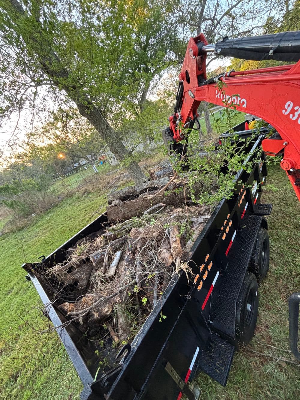 Excavator loading tree debris into a black dump trailer in a grassy area.