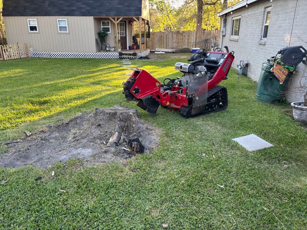 Red stump grinder next to a tree stump in a green yard with a house in the background.