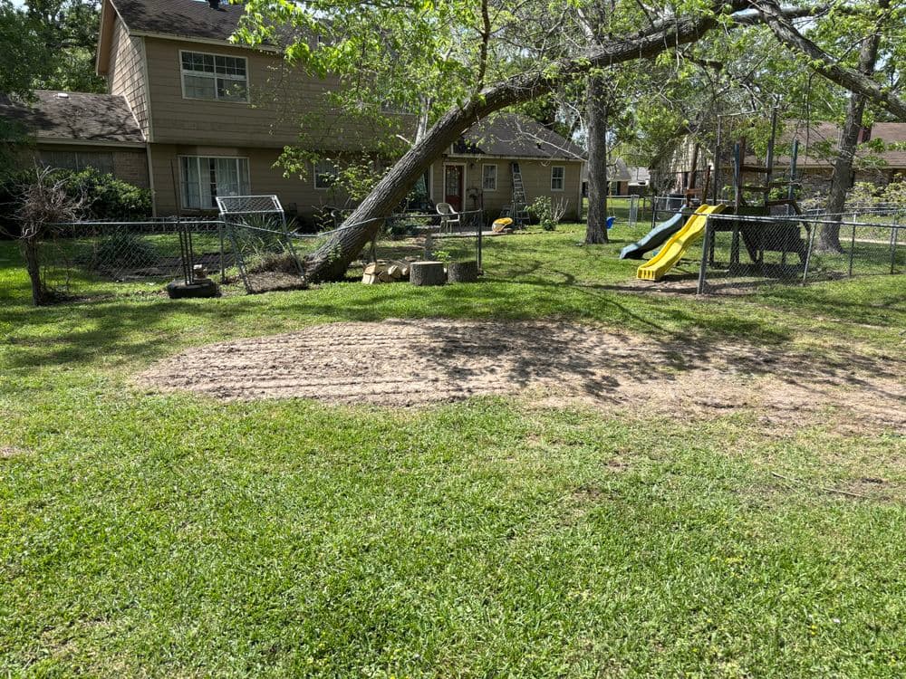 Backyard scene featuring a grassy area, playground equipment, and a leaning tree.
