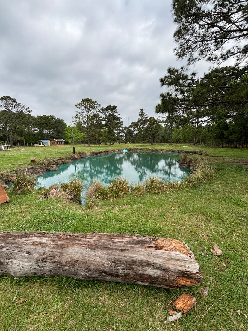 Serene pond surrounded by greenery and trees, with a rustic log in the foreground.