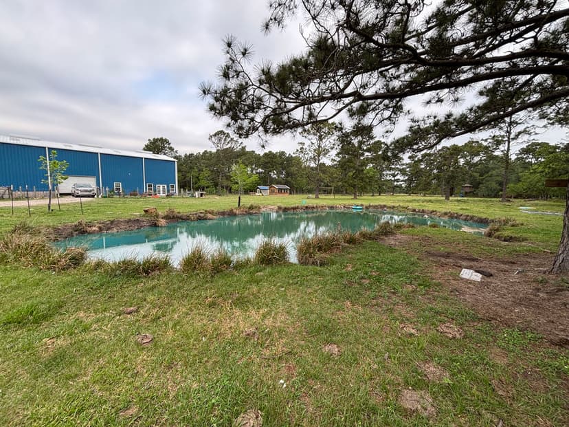 Lush green landscape with a serene pond, surrounded by trees and a blue industrial building.