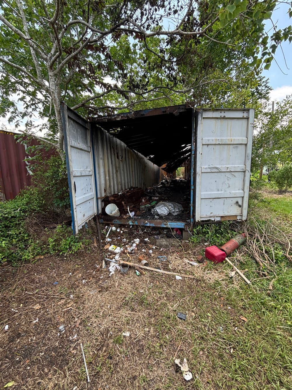 Abandoned shipping container filled with trash and debris in overgrown area, showcasing neglect.