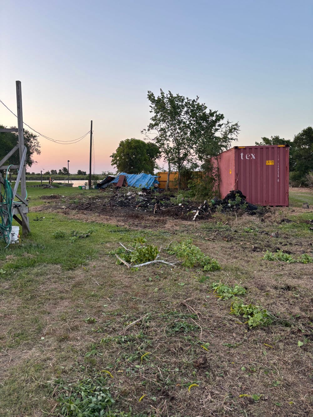 Container on a grassy plot with vegetation and debris at sunset, showcasing outdoor storage area.