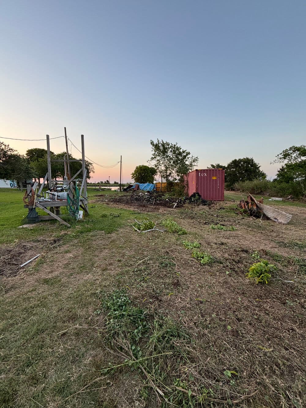 Abandoned garden with a shipping container, tools, and overgrown vegetation at sunset.