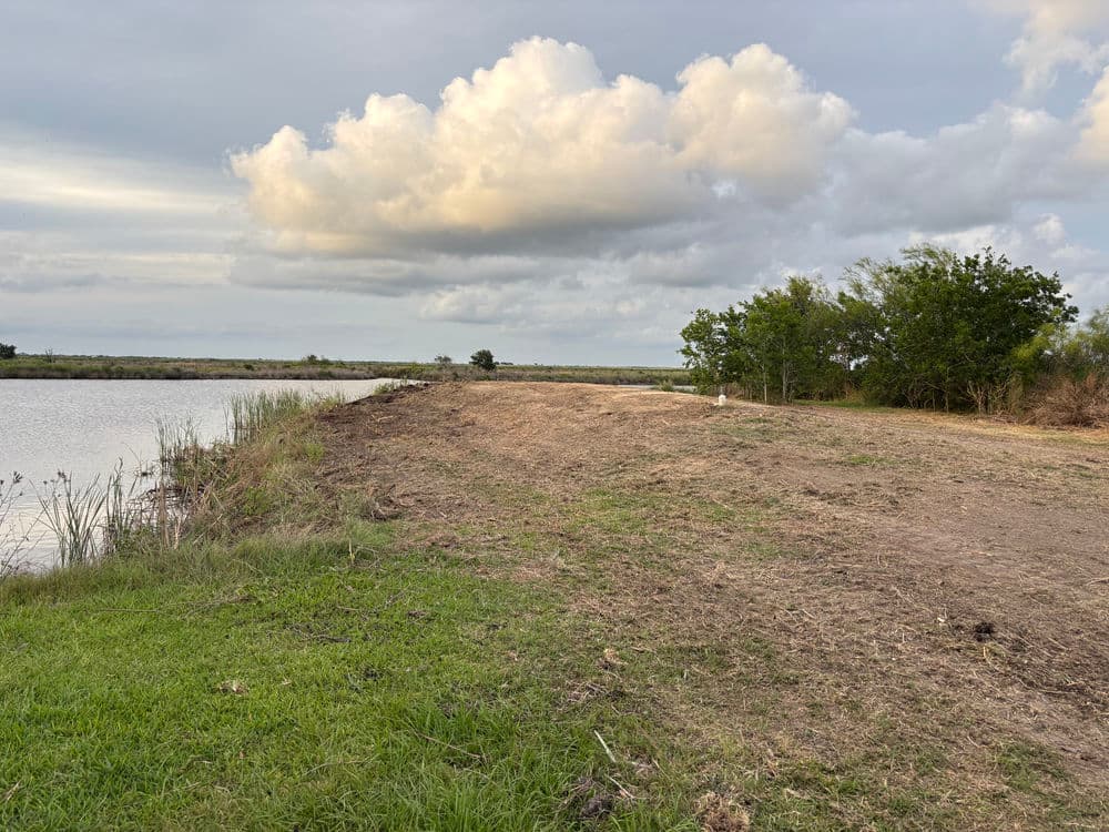 Lush green bank along a calm river under a cloudy sky with sparse trees nearby.